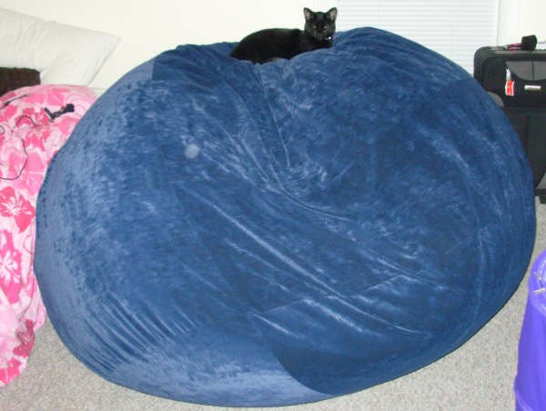 A picture of a black cat sitting atop of a giant, blue Fombag