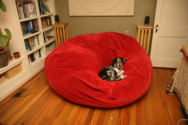A picture of a puppy dog sitting in the center of a bright, red, giant Fombag